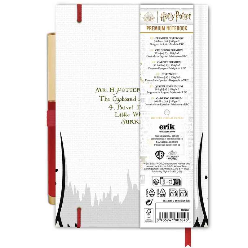 Caderno A5 Premium + Caneta Hedwig – Harry Potter