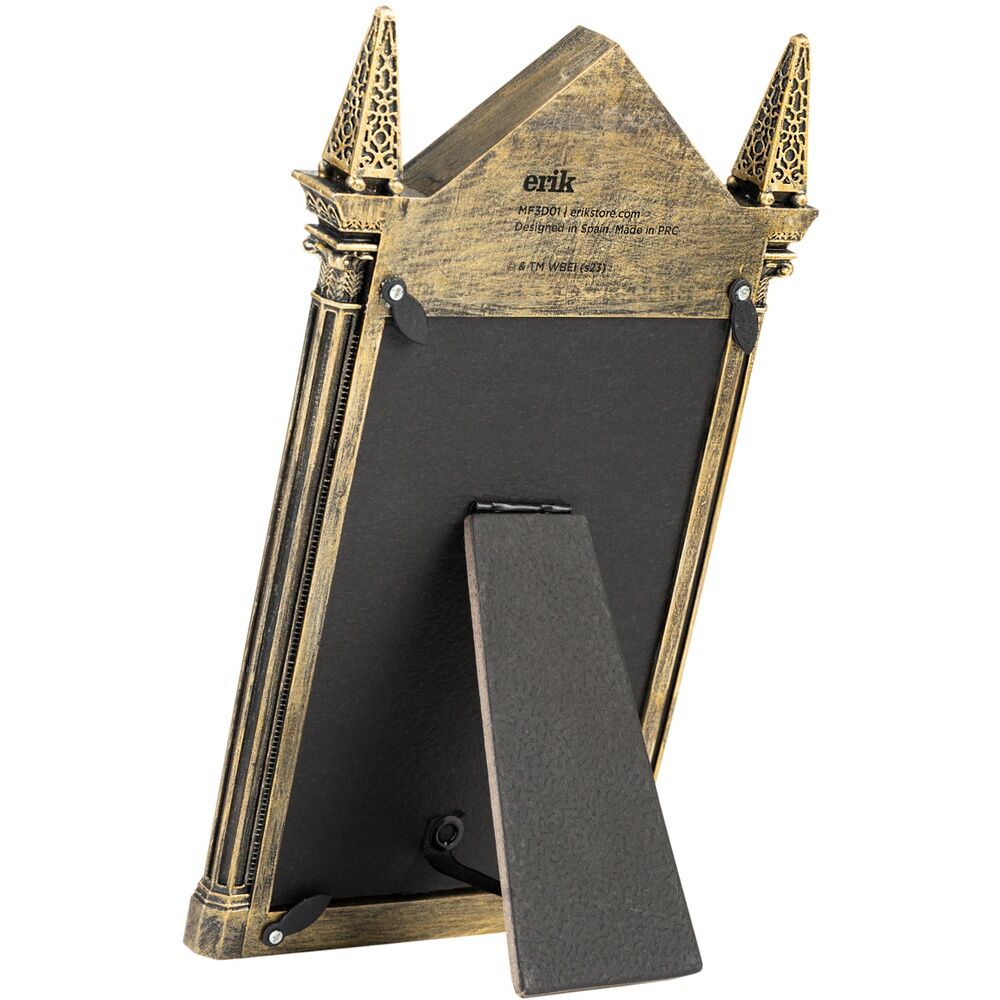 Oesed Mirror Frame – Harry Potter (14 x 23.5 cm)