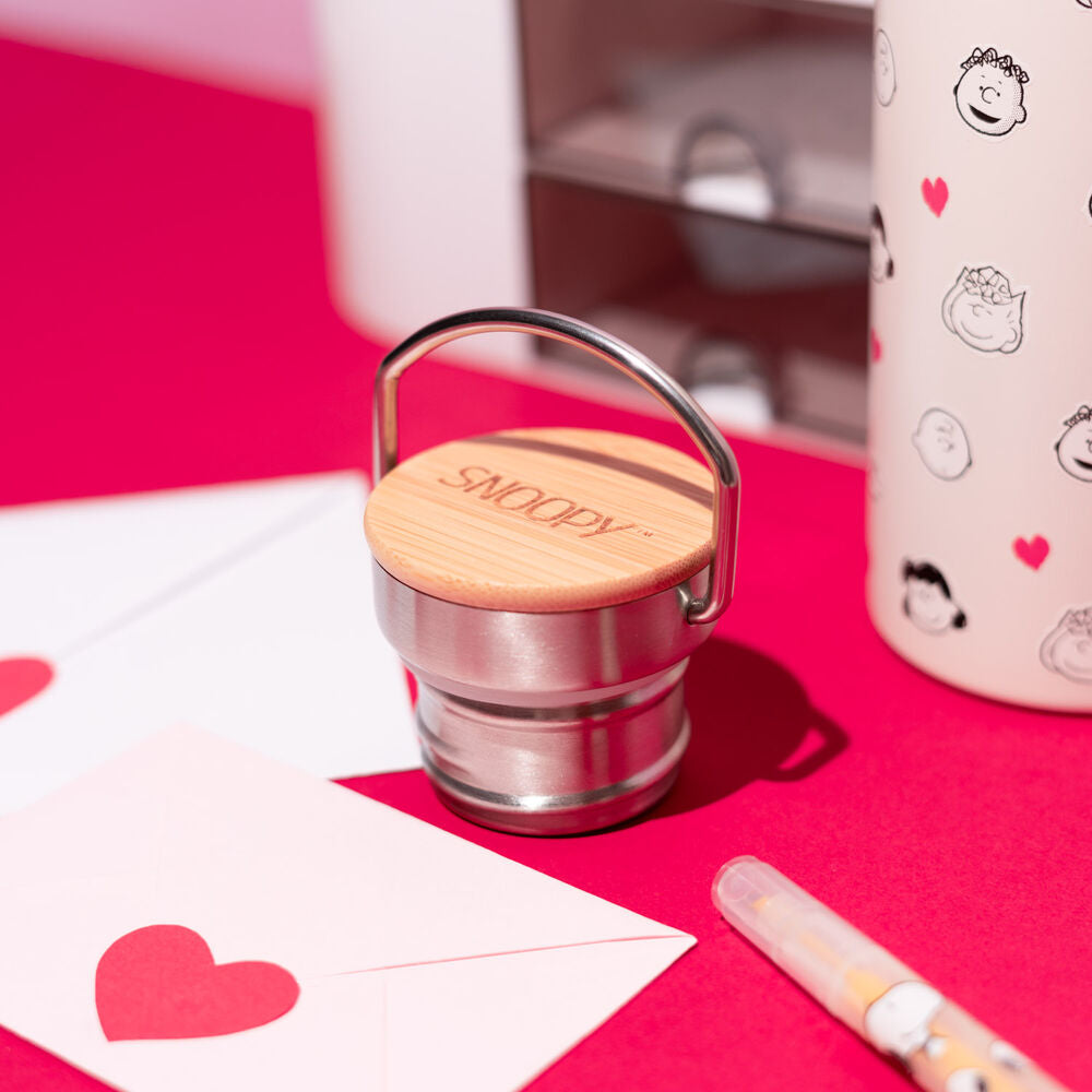 Snoopy Stainless Steel Bottle – Peanuts (500 ml)