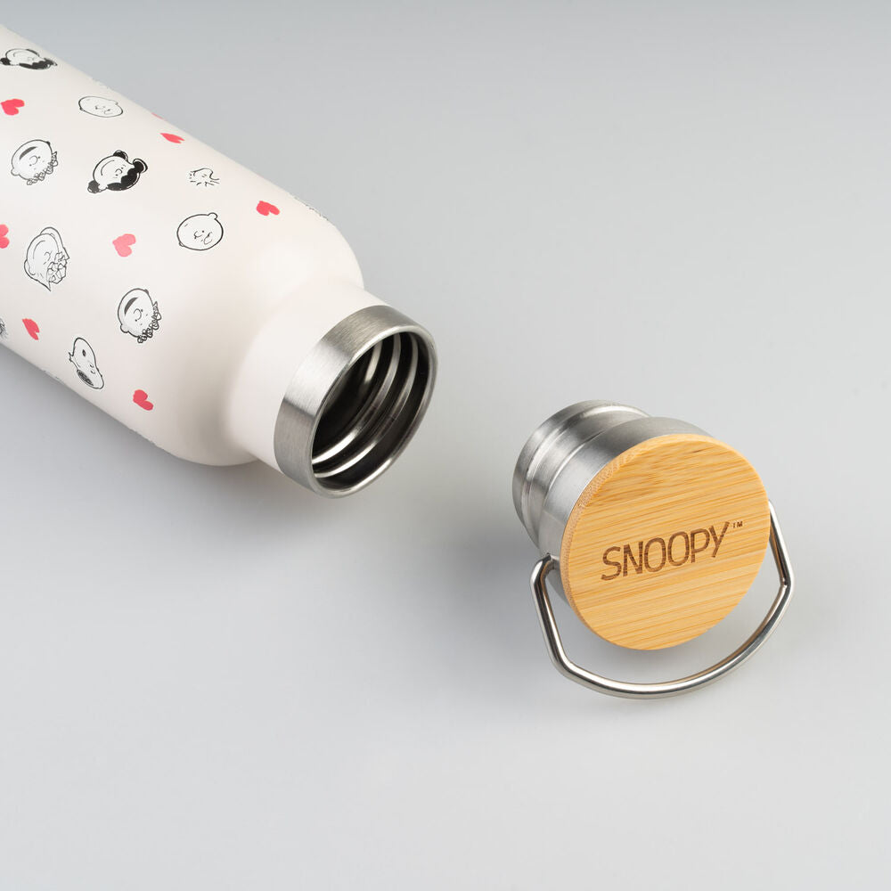 Snoopy Stainless Steel Bottle – Peanuts (500 ml)