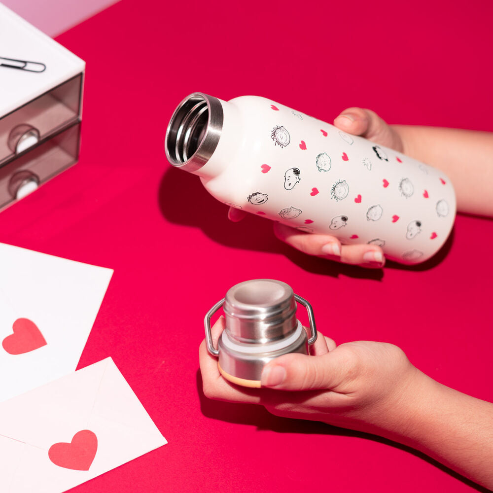 Snoopy Stainless Steel Bottle – Peanuts (500 ml)